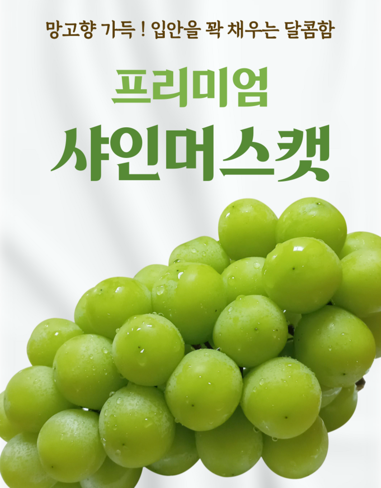 Nong Sheets Jiksong Eokaepanjeon Package High Sweetness Shine Muscat (18 Beurikseucho ), 1 Box , Jeongyong ( Sang )1 kg (2 Song ) ([농장직송 에어캡안전포장] 고당도 프리미엄 샤인머스캣 (18브릭스초과), 1박스, 가정용(상)1kg (2송이))