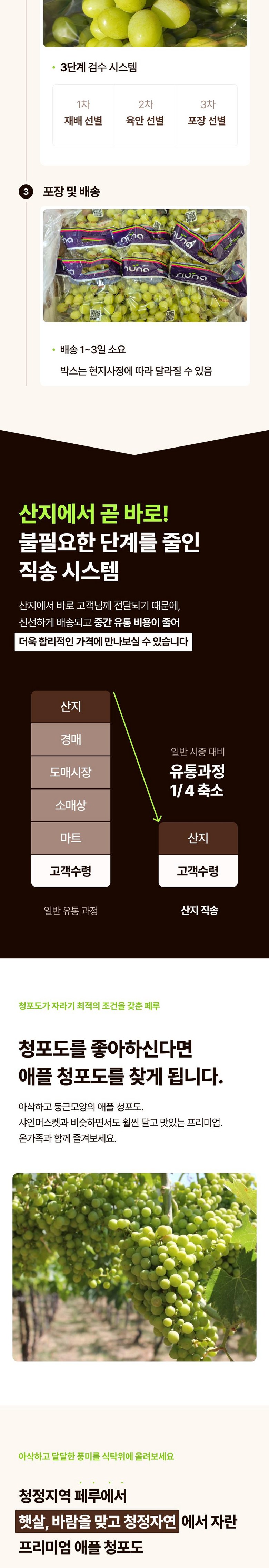 Seonbyeol High Sweetness Aepeul Cheong Grape Syainmeoseuket Ssieops Grape Sweetness Seonbyeol , 1 Pack , Aepeul Cheong Grape 500 g ([프리미엄 선별] 고당도 애플 청포도 샤인머스켓 씨없는 포도 당도선별, 1개, 애플 청포도 500g)