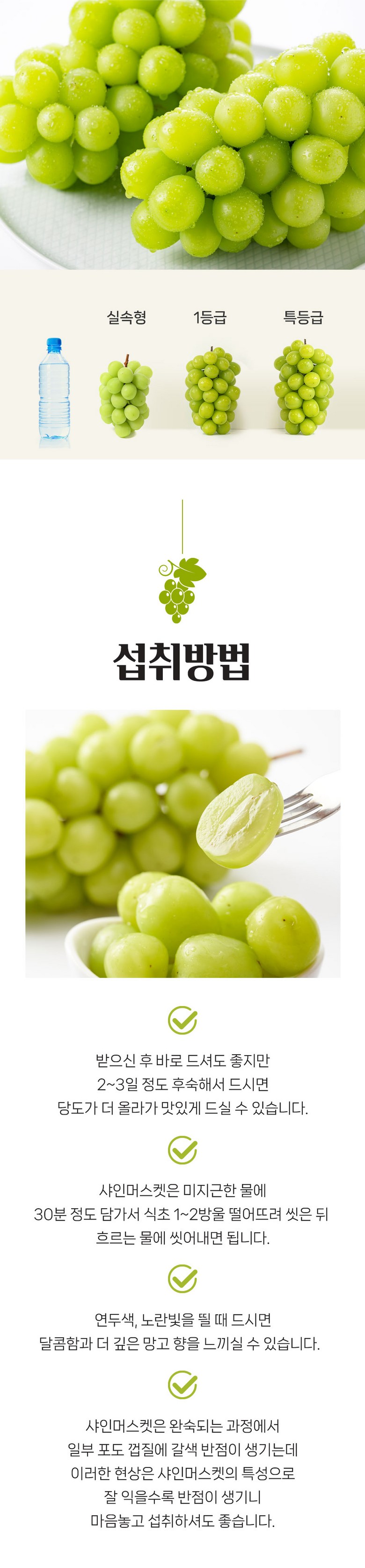 & Beu Mango Flavor Grape High Sweetness Sweetness Bo Sheets Jeongyong Seonmulyong 15 Beurikseusang Syainmeoseuket Seonmul Set 1 Box Syainmeoseuket (3-5 Song ) 2 kg, [ (앤브이 망고맛포도 고당도 당도보장 가정용 선물용 15브릭스이상 샤인머스켓 선물세트 1박스 샤인머스켓 (3-5송이) 2kg, [특]2kg 5수)