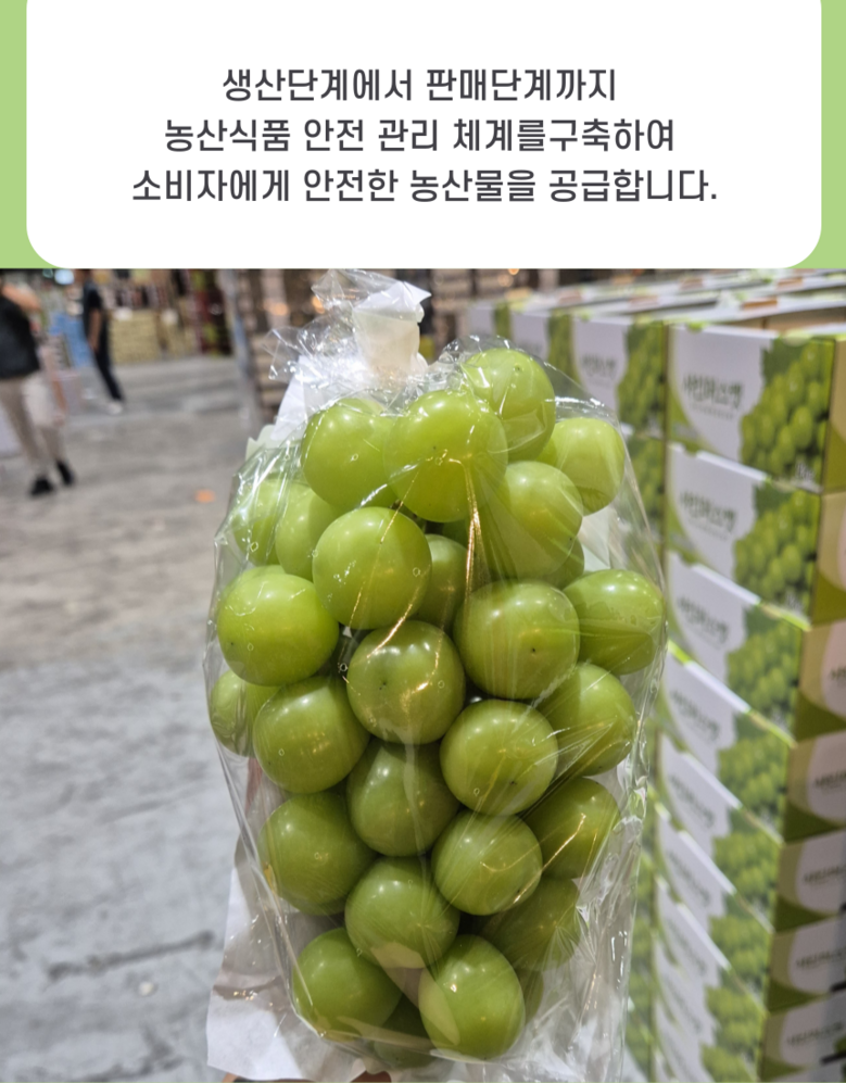 Nong Sheets Jiksong Eokaepanjeon Package High Sweetness Shine Muscat (18 Beurikseucho ), 1 Box , Jeongyong ( Sang )1 kg (2 Song ) ([농장직송 에어캡안전포장] 고당도 프리미엄 샤인머스캣 (18브릭스초과), 1박스, 가정용(상)1kg (2송이))