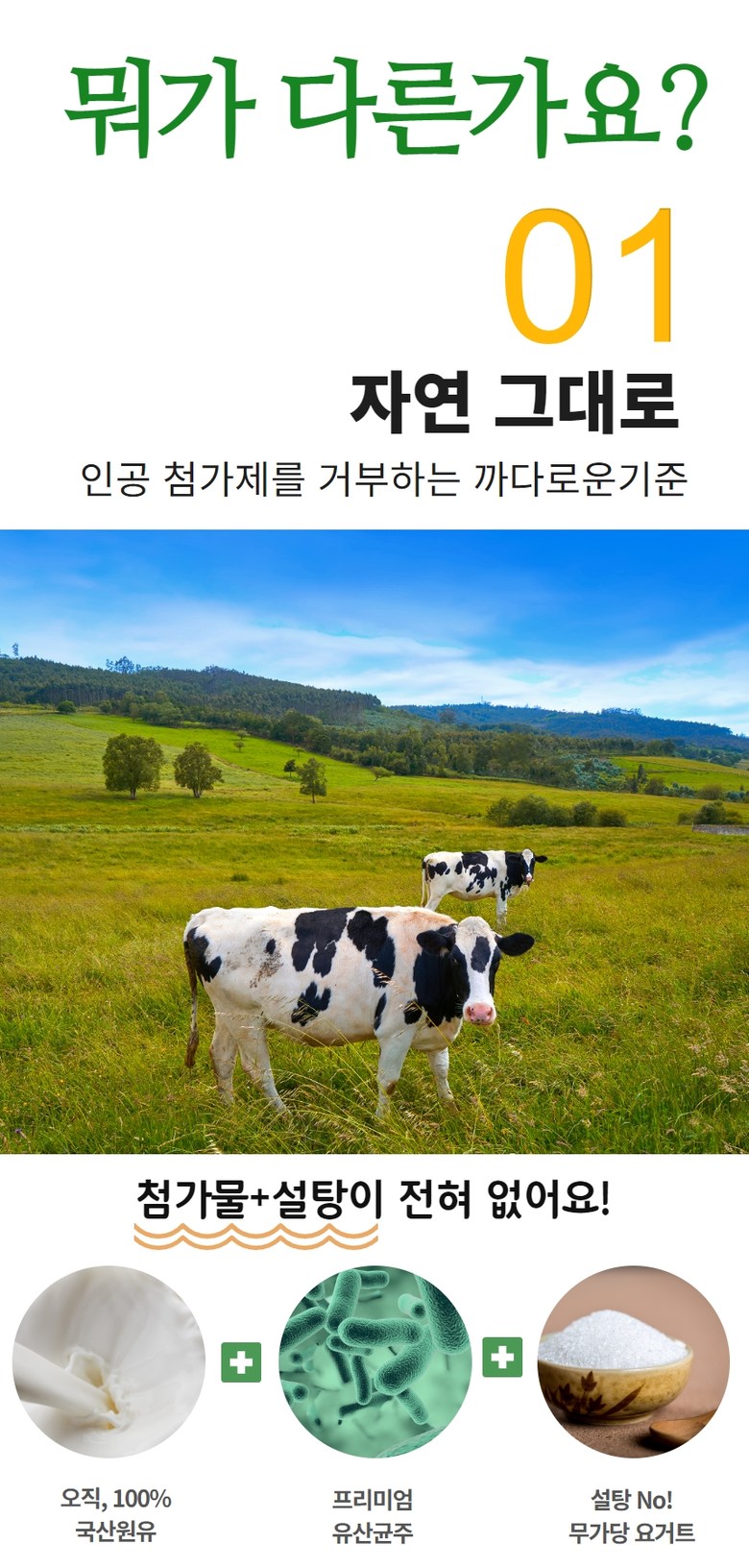 Yogeomol Suje Sugar-free Plain Yogurt , 1 Pack , 1 L (요거몰 수제 무가당 플레인 요거트, 1개, 1L)