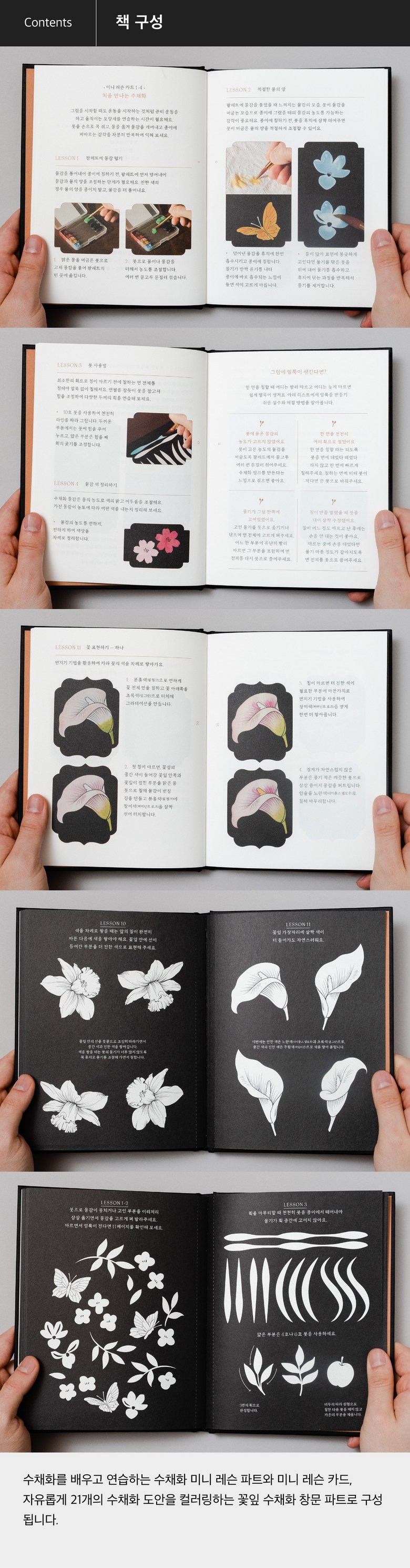 BibleStudy | Facebook, image size:780x2978