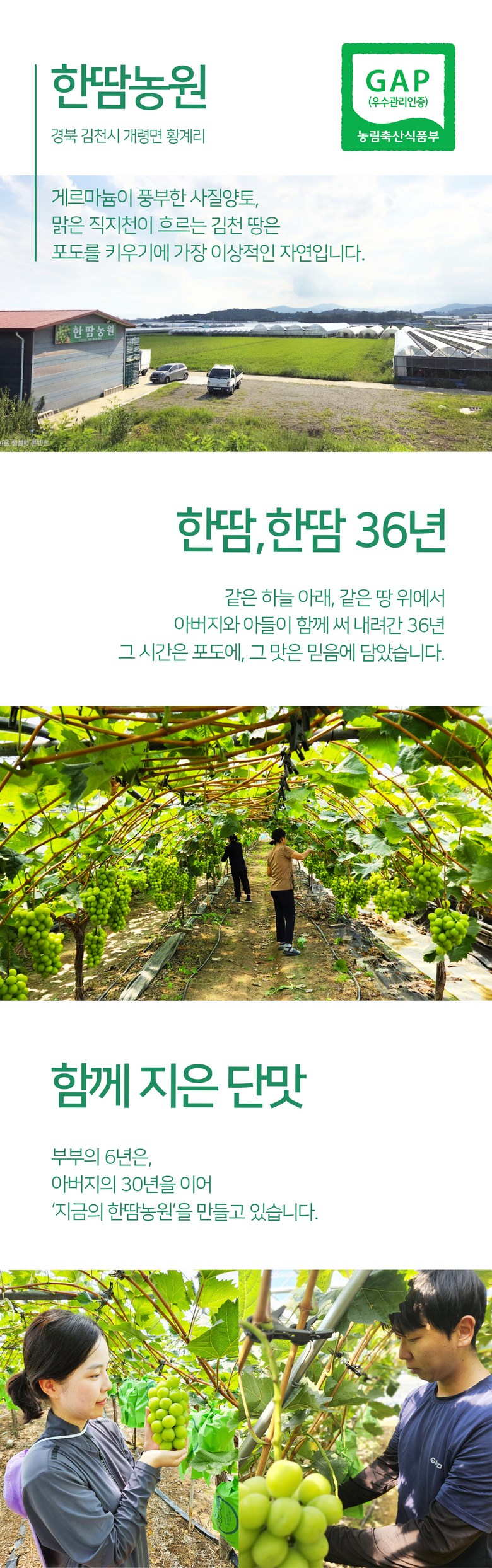 Shine Muscat , 1 Box , 1 kg Sang (1~2 Su ) (샤인머스캣, 1박스, 1kg 상과(1~2수))