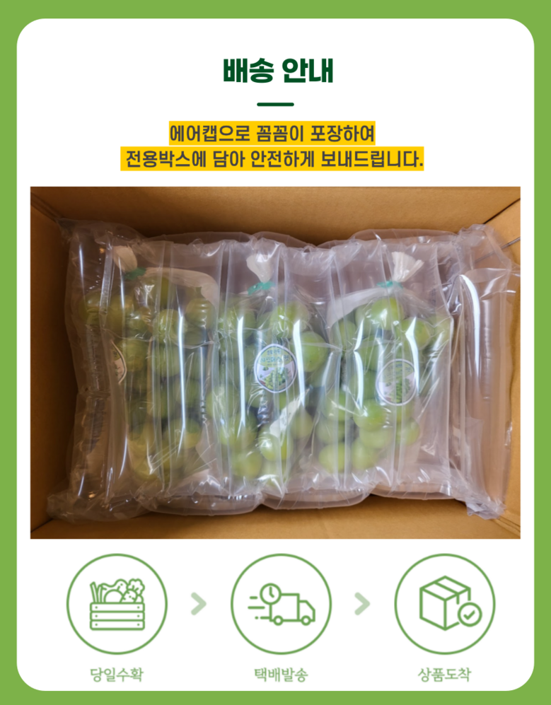 Nong Sheets Jiksong Eokaepanjeon Package High Sweetness Shine Muscat (18 Beurikseucho ), 1 Box , Jeongyong ( Sang )1 kg (2 Song ) ([농장직송 에어캡안전포장] 고당도 프리미엄 샤인머스캣 (18브릭스초과), 1박스, 가정용(상)1kg (2송이))