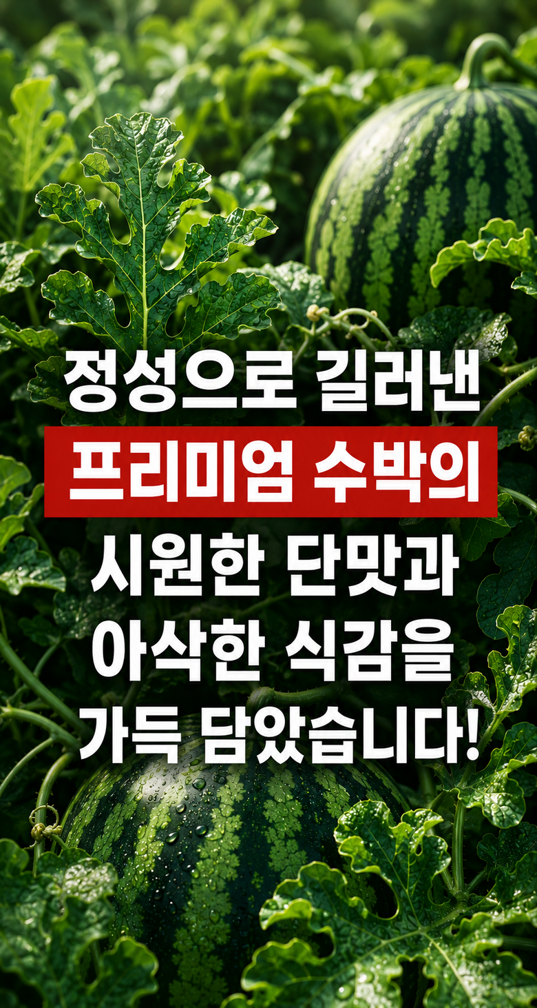 수박 과육 당도 및 식감 확인 이미지
