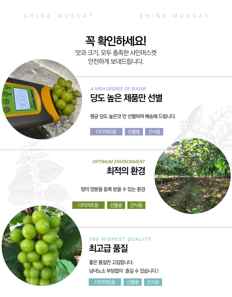 Gutpipeul Syainmeoseuket Syainmeoseuket Grape Sainmeoseuket Cheong Grape Grape Syain , 1 Box , Shine Muscat Ban 1 kg Naeoe (2-3 Song ) ([굿피플] 샤인머스켓 샤인머스켓포도 사인머스켓 청포도 포도 과일 샤인, 1박스, 샤인머스캣 일반 1kg내외(2-3송이))