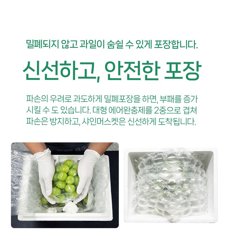 Shine Muscat , 1 Box , 1 kg Sang (1~2 Su ) (샤인머스캣, 1박스, 1kg 상과(1~2수))