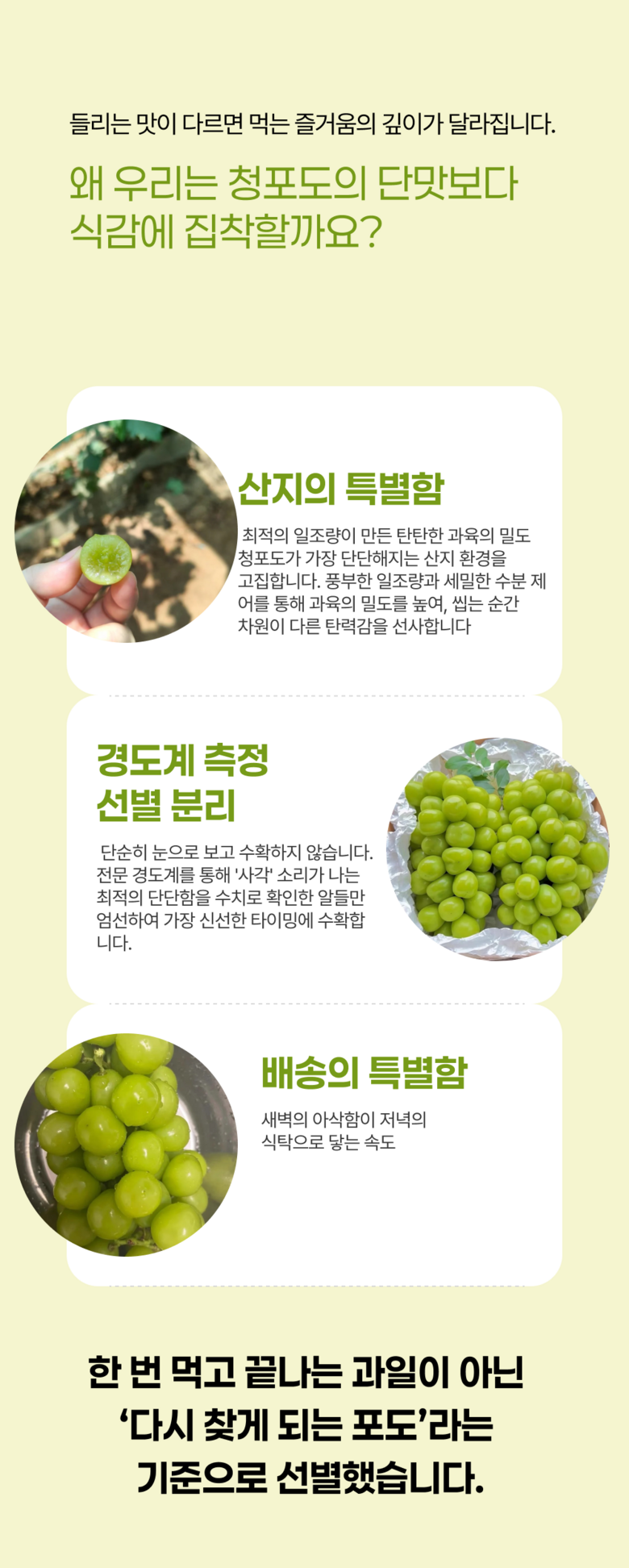 High Sweetness Aepeulcheong Grape Eoteomkeuriseupi Crunchy Dalkom Ssieops Otomkeuriseupi , 1 Pack , Dalkom Aepeulcheong Grape 500 G ([고당도] 애플청포도 어텀크리스피 아삭달콤 씨없는 오톰크리스피, 1개, 달콤 애플청포도 500G)