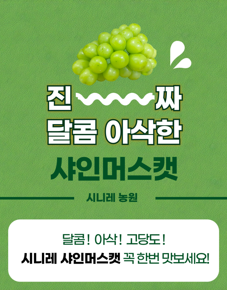 Nong Sheets Jiksong Eokaepanjeon Package High Sweetness Shine Muscat (18 Beurikseucho ), 1 Box , Jeongyong ( Sang )1 kg (2 Song ) ([농장직송 에어캡안전포장] 고당도 프리미엄 샤인머스캣 (18브릭스초과), 1박스, 가정용(상)1kg (2송이))