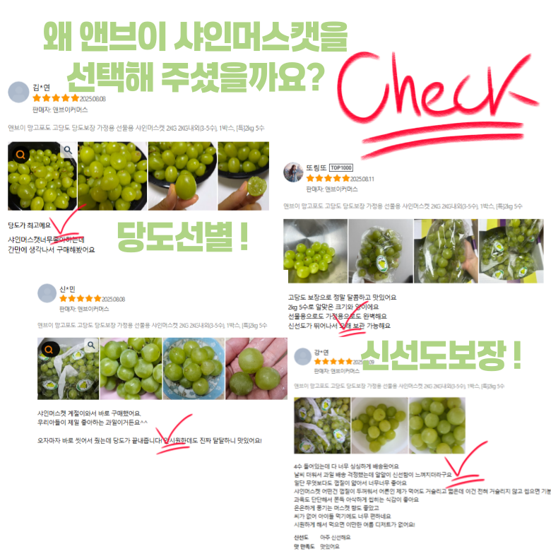 & Beu Mango Flavor Grape High Sweetness Sweetness Bo Sheets Jeongyong Seonmulyong 15 Beurikseusang Syainmeoseuket Seonmul Set 1 Box Syainmeoseuket (3-5 Song ) 2 kg, [ (앤브이 망고맛포도 고당도 당도보장 가정용 선물용 15브릭스이상 샤인머스켓 선물세트 1박스 샤인머스켓 (3-5송이) 2kg, [특]2kg 5수)