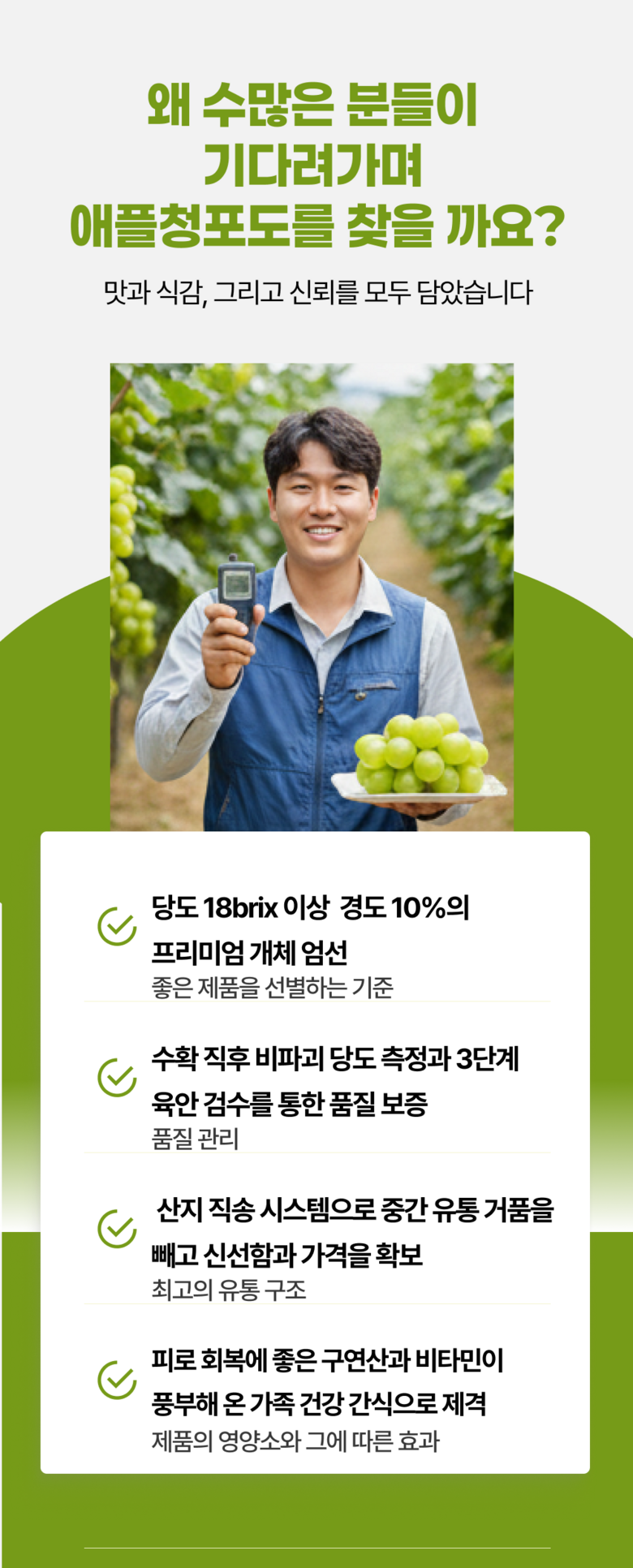 High Sweetness Aepeulcheong Grape Eoteomkeuriseupi Crunchy Dalkom Ssieops Otomkeuriseupi , 1 Pack , Dalkom Aepeulcheong Grape 500 G ([고당도] 애플청포도 어텀크리스피 아삭달콤 씨없는 오톰크리스피, 1개, 달콤 애플청포도 500G)