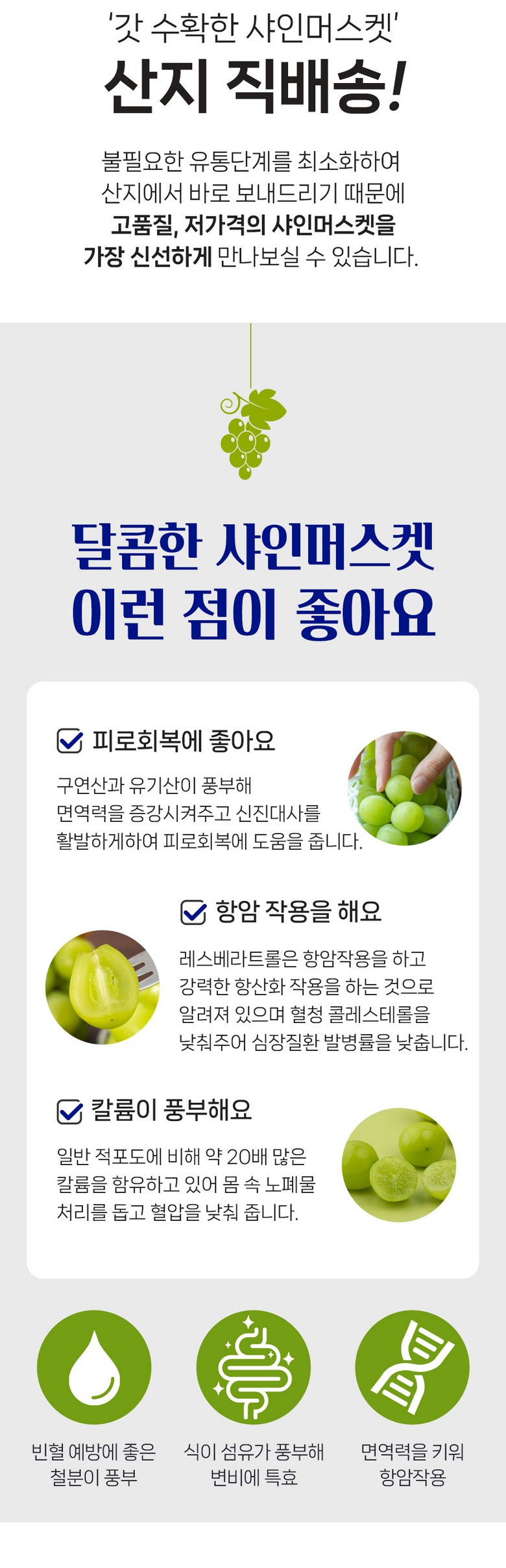 & Beu Mango Flavor Grape High Sweetness Sweetness Bo Sheets Jeongyong Seonmulyong 15 Beurikseusang Syainmeoseuket Seonmul Set 1 Box Syainmeoseuket (3-5 Song ) 2 kg, [ (앤브이 망고맛포도 고당도 당도보장 가정용 선물용 15브릭스이상 샤인머스켓 선물세트 1박스 샤인머스켓 (3-5송이) 2kg, [특]2kg 5수)