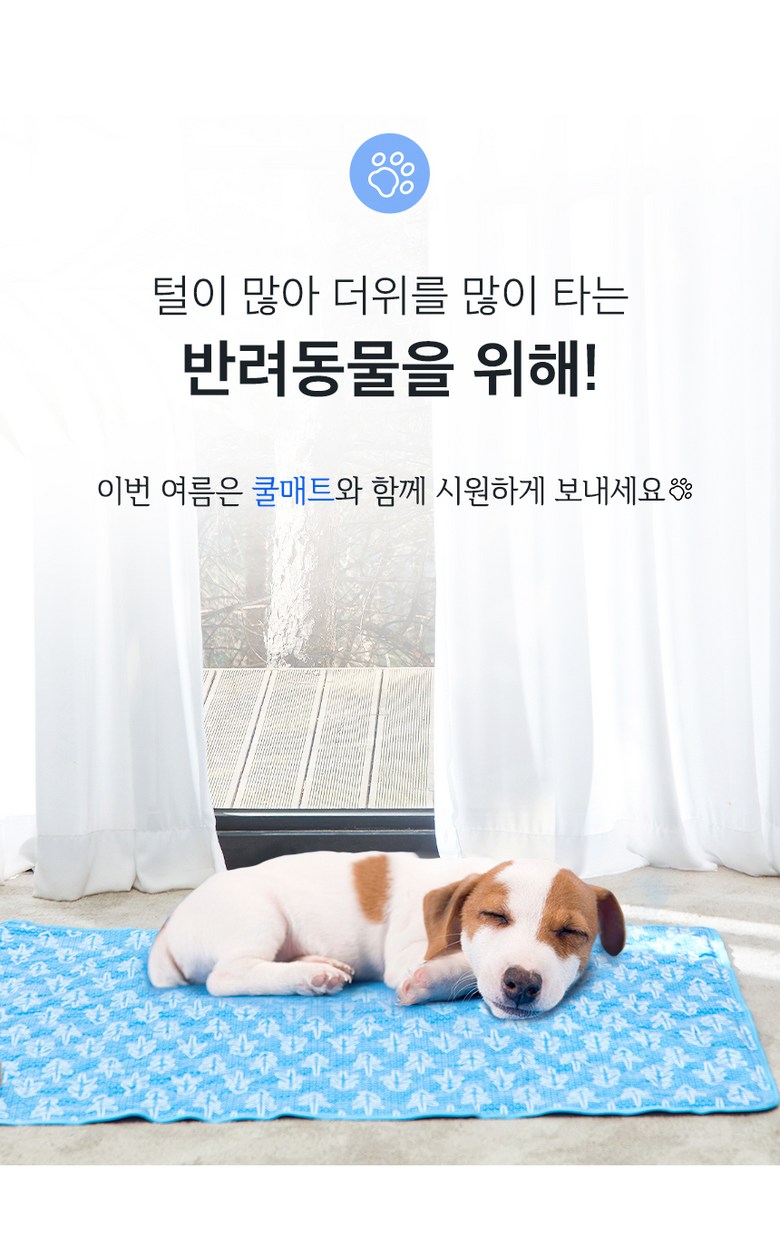 Asso Cool Sheets Teu Yeoreum Ice Chimdae Cool Sheets Teu , Ice Junghyeong ( Sheets Teu 1+ Be Pack 1) (아쏘 쿨매트 여름 아이스 침대쿨매트, 아이스 중형(매트1+베개1))